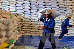 Provincia de Vietnam y Sudcorea impulsan cooperación agrícola