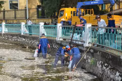 Hanoi facilita inversiones de empresas austríacas en tratamiento de residuos