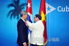 Cuba confiere medalla de la Amistad al embajador vietnamita 