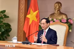 El viceprimer ministro y canciller de Vietnam, Bui Thanh Son. (Fuente: VNA)