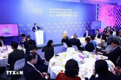El primer ministro vietnamita dialoga con líderes de corporaciones del FEM en Dalian. (Fuente: VNA)
