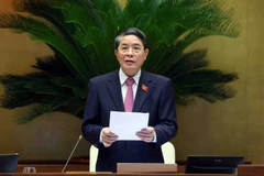 El vicepresidente de la Asamblea Nacional Nguyen Duc Hai. (Fuente: VNA)