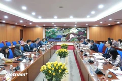 FMI: Perspectivas fiscales de Vietnam son relativamente estables