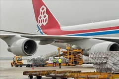 Los bienes patrocinados por la Organización Samaritan's Purse y el Gobierno suizo para las provincias de Yen Bai, Lao Cai y Cao Bang dañadas por el impacto del tifón Yagi son transportados al aeropuerto de Noi Bai (Hanoi), el 16 de septiembre de 2024. (Foto: VNA)