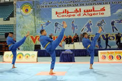 [Fotos] Ronda final de la Copa Vovinam (Viet Vo Dao) en Argelia