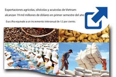 [Infografía] Exportaciones agrícolas de Vietnam alcanzan 19 mil millones de dólares 
