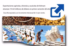 [Infografía] Exportaciones agrícolas de Vietnam alcanzan 19 mil millones de dólares 