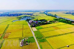 [Video] Positivas perspectivas del sector agropecuario y forestal de Vietnam