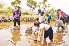 Hanoi por promover turismo agrícola y rural 