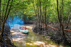 Vietnam trabaja por conservar ecosistemas de humedales