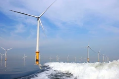 Energía eólica posee potencial en las costas de Vietnam