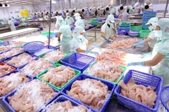 Empresas acuícolas de Vietnam por extenderse al mercado mundial
