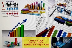 Trazan soluciones para desarrollar estadísticas de Vietnam