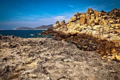 Reserva de biosfera de Nui Chua en Vietnam, lugar seguro para las tortugas marinas