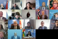 Vietnam pide resolver los conflictos en la República Centroafricana mediante el diálogo