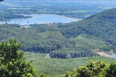 Vietnam aprueba Programa de Desarrollo Forestal Sostenible para período 2021-2025 