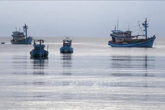 Sector pesquero vietnamita por desarrollarse de manera moderna y sostenible