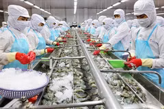 Vietnam por desarrollar de manera sostenible sector acuático