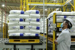 Provincia vietnamita desarrolla parques industriales especializados 