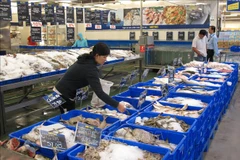 Amplio margen para cooperación económica entre Vietnam y Tailandia 