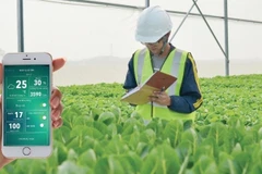 Vietnam impulsa transformación del sector agrícola 