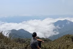 Vietnam desarrolla turismo asociado a la protección forestal