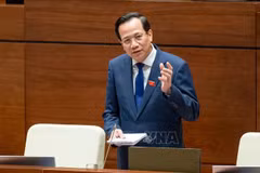 El ministro de Trabajo, Inválidos de Guerra y Asuntos Sociales de Vietnam, Dao Ngoc Dung. (Foto: VNA)