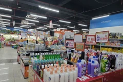 Vietnam se alista para un crecimiento económico positivo en los últimos seis meses de 2024 (Foto: VietnamPlus)