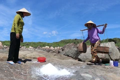 Antigua aldea salinera de Sa Huynh en provincia de Quang Ngai
