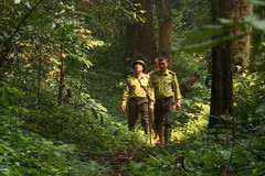 Provincia vietnamita de Tuyen Quang preserva biodiversidad y animales raros
