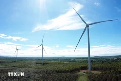 Desarrollo de economía verde es esencial para empresas vietnamitas
