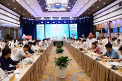 Panorama de la cita. (Foto: chinhphu.vn)