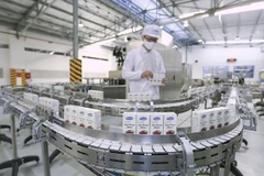 Empresa láctea vietnamita figura entre mayores firmas en Sudeste Asiático