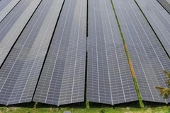 Se espera que el nuevo parque solar flotante de Singapur pueda producir 141 megavatios pico (MWp) de energía limpia (Foto:businesstimes.com.sg)