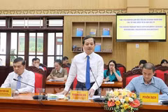 Pham Hoang Son, vicesecretario permanente del Comité Provincial del Partido y presidente del Consejo Popular de Thai Nguyen, interviene en la reunión (Foto: VNA)