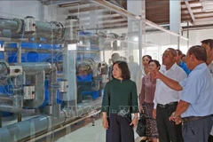 Delegación de Laos visita la empresa de Viet-Uc Ca Mau (Foto: VNA)