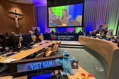 La embajadora de UNICEF, Lucy Liu, habla sobre el significado del juego para el desarrollo de los niños (Foto: VNA)