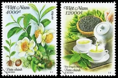 Dos muestras de sellos presentan la cultura y las plantas de té de Vietnam. (Foto: Corporación Postal de Vietnam)