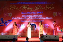 Vietnamitas en Laos y Japón celebran fiesta tradicional 