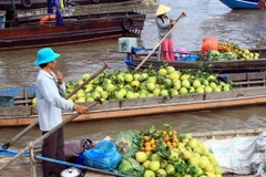 Provincia vietnamita invierte 30 millones de dólares en desarrollo turístico 
