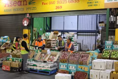 Celebran Día de pitahaya vietnamita en Australia