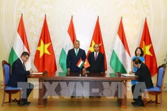 Impulsan cooperación Vietnam-Hungría en informática y comunicación 