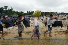 Bangladesh y Myanmar acuerdan controlar flujo de desplazado rohingyas