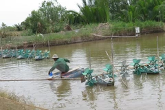 Vietnam acelera la modernización de nuevas zonas rurales