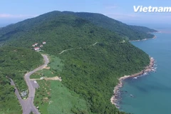 Montaña Son Tra declarada sitio turístico nacional de Vietnam 