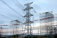 Premier vietnamita urge a EVN a mantener su papel clave en el suministro eléctrico nacional