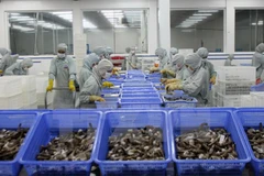 Programa de monitoreo de Estados Unidos preocupa a empresas de mariscos vietnamitas