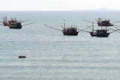 Banco vietnamita respalda a pescadores nacionales mediante préstamos preferenciales