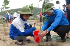 Proyecto estadounidense ayuda a proteger medioambiente en Vietnam