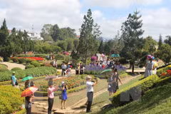 Promocionan Té y Seda de Lam Dong en Festival de Flores Da Lat
